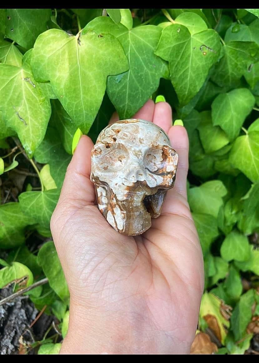 Agate Skull