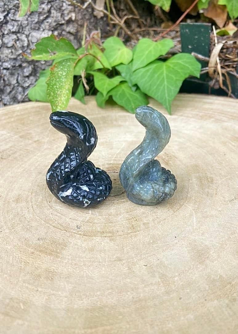 Cobra Snakes