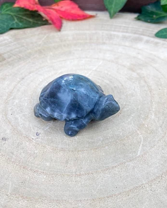 Labradorite Turtle