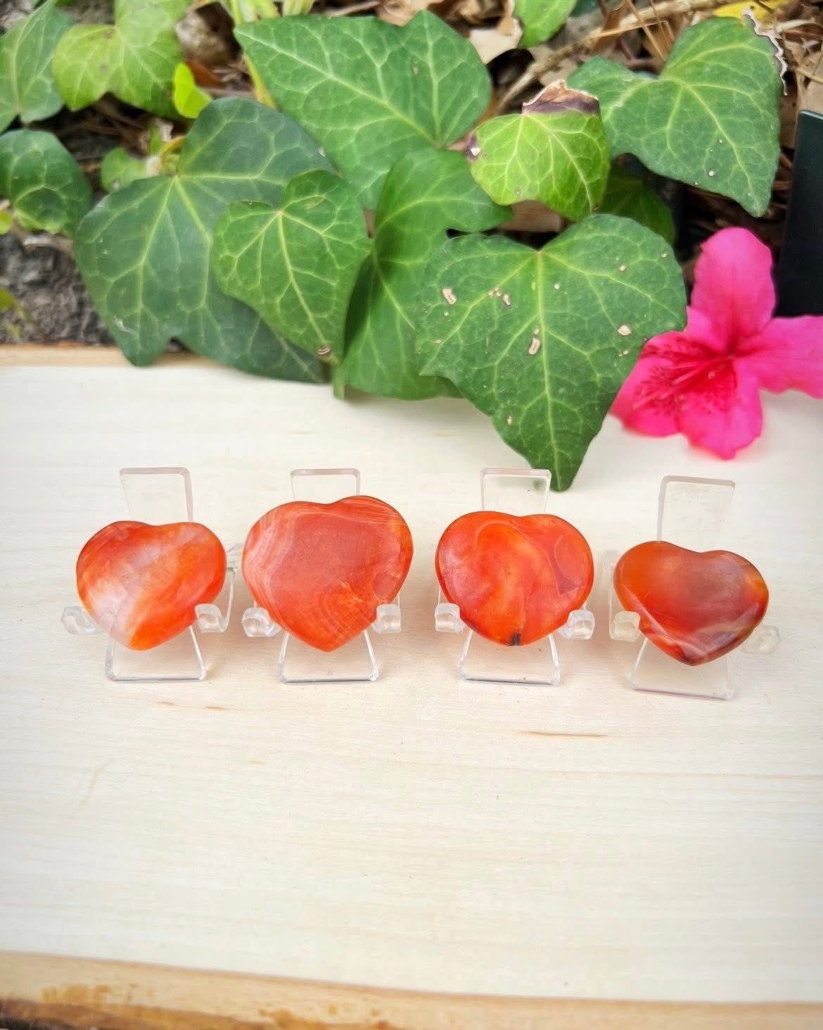 Carnelian Hearts
