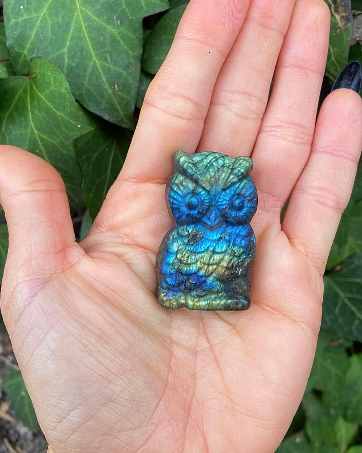 Labradorite Owl