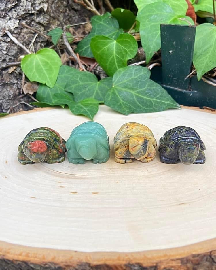 Turtles