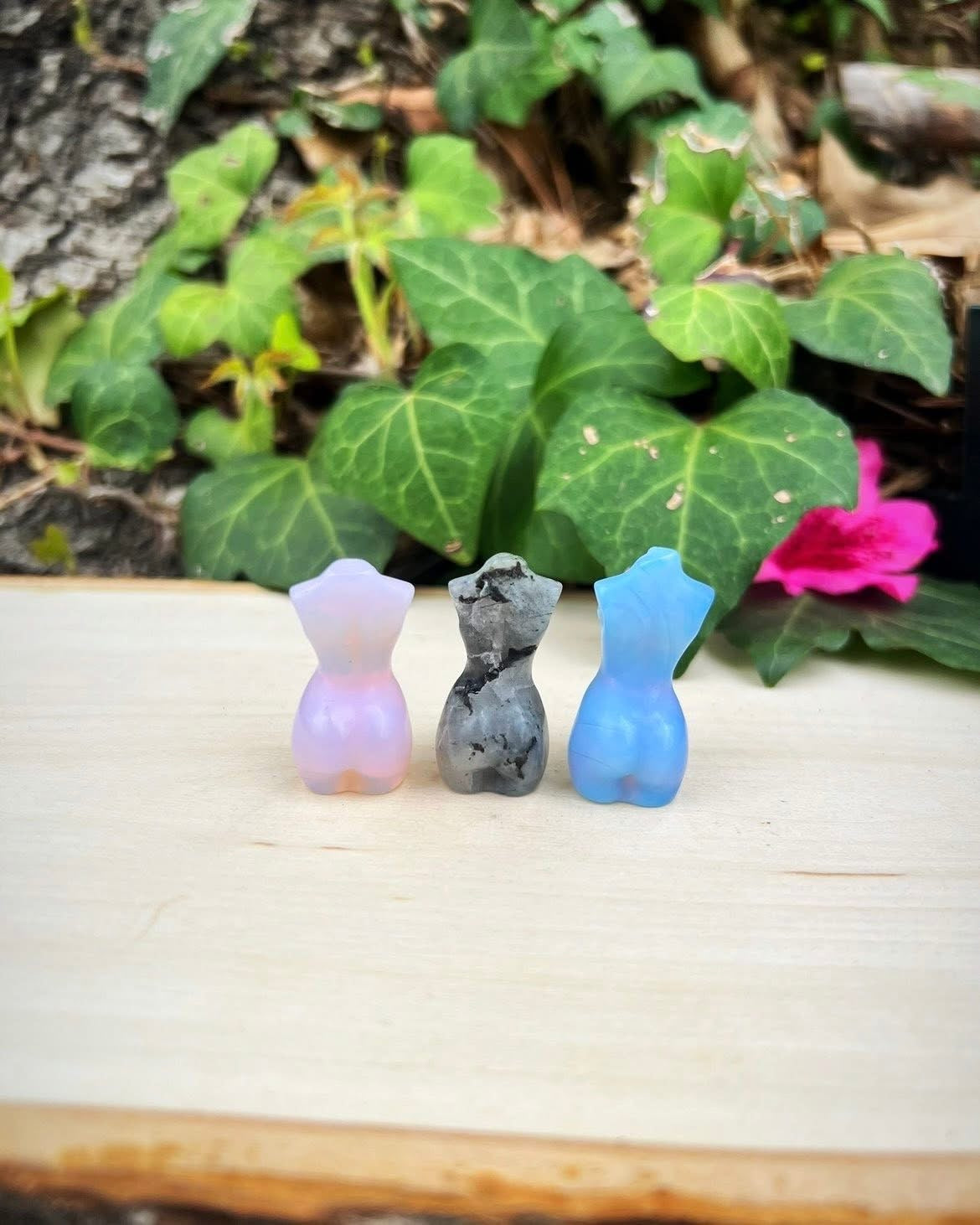 Female Torsos