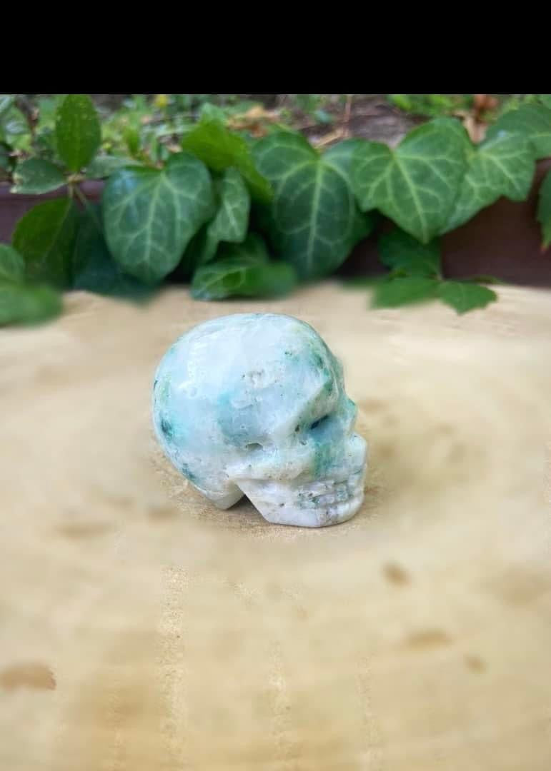 Phoenix Stone Skull