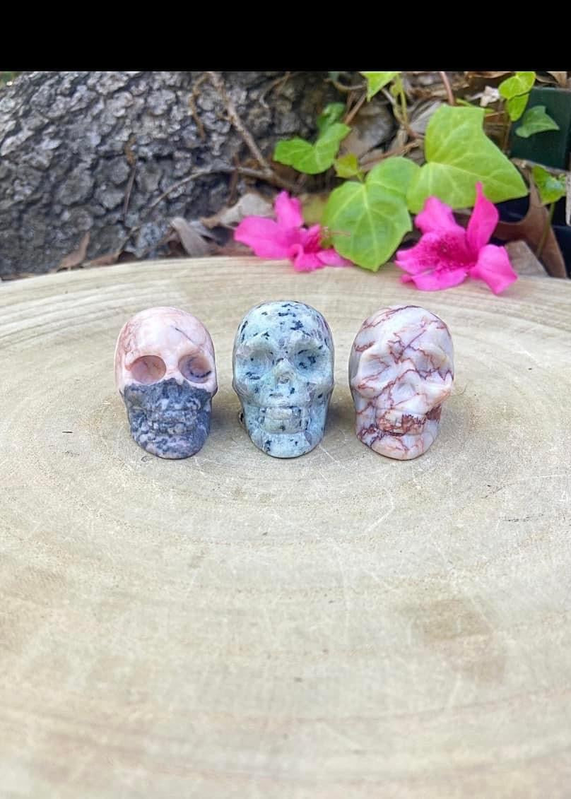 Skulls