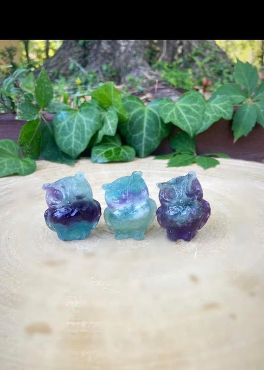 Fluorite Owls