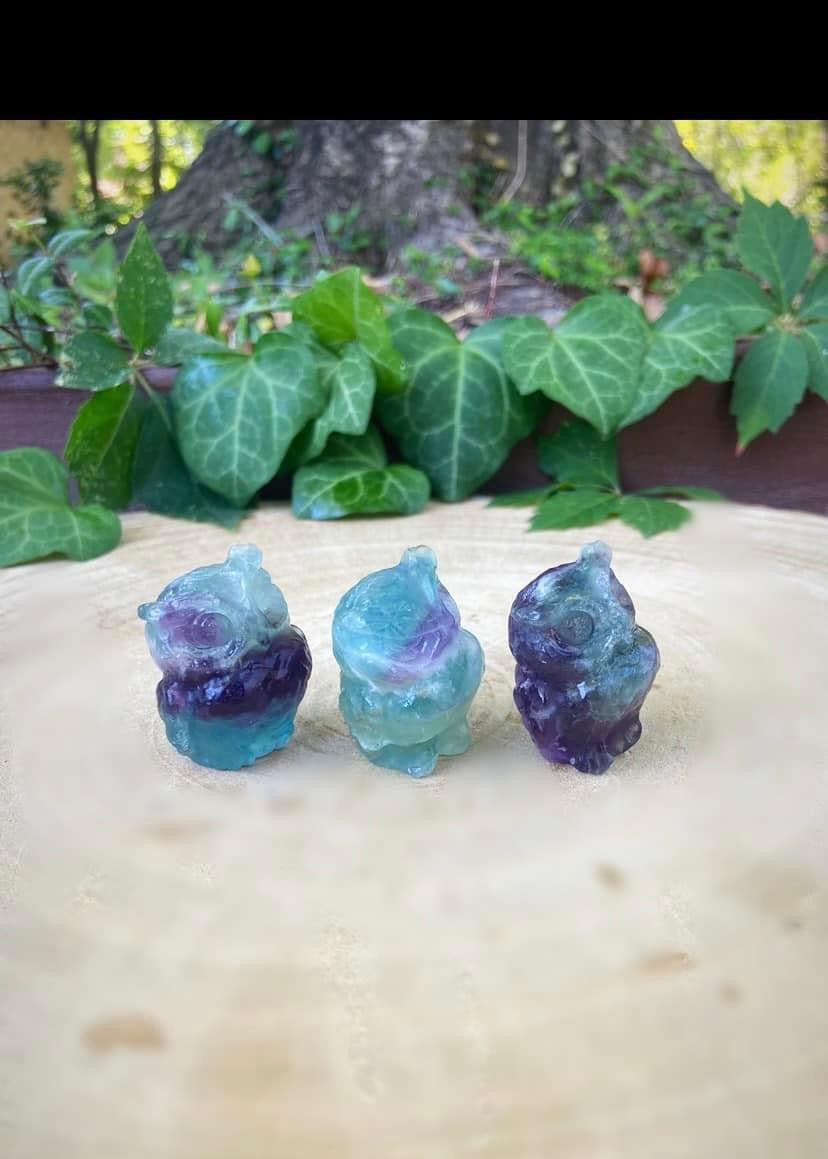 Fluorite Owls