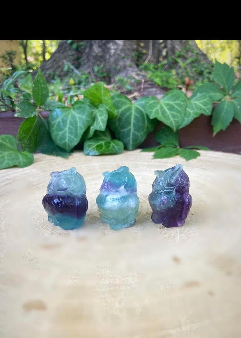 Fluorite Owls