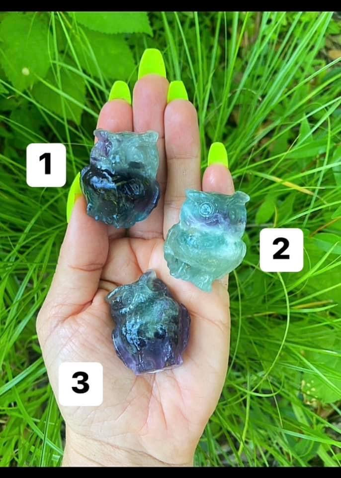 Fluorite Owls