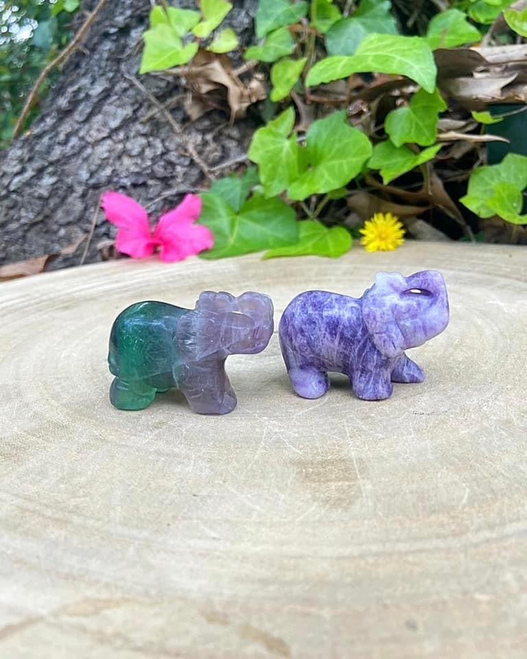 Elephants