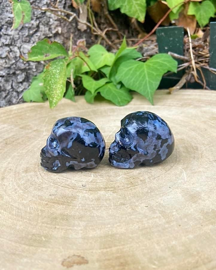 Indigo Gabbro Skulls