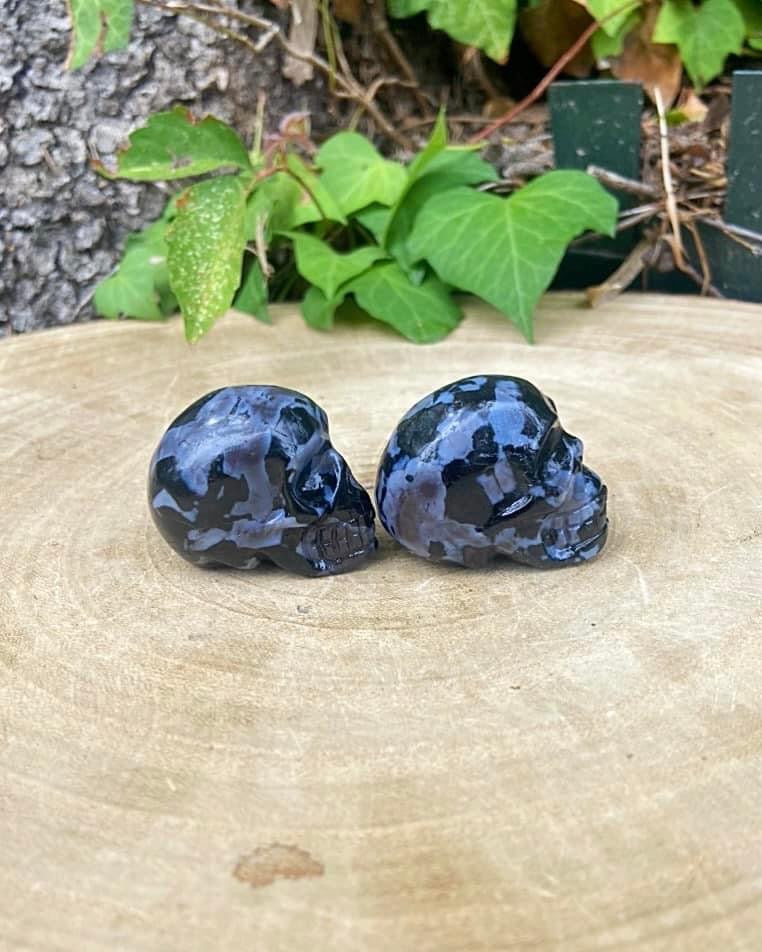 Indigo Gabbro Skulls