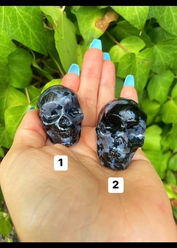 Indigo Gabbro Skulls