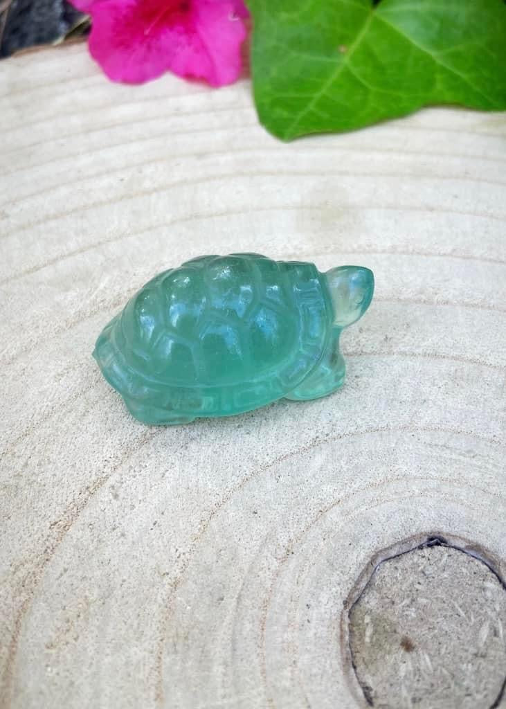 Green Fluorite Turtle