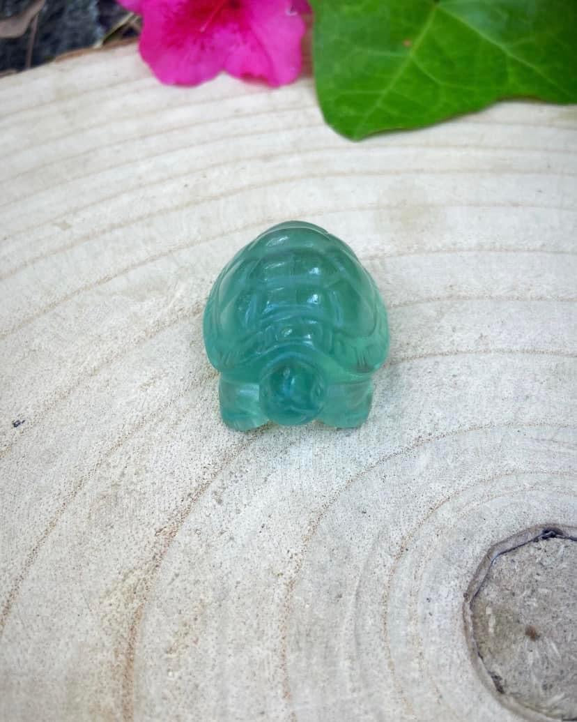 Green Fluorite Turtle