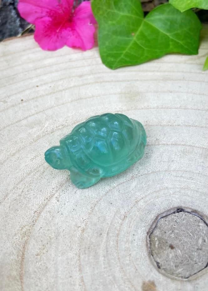 Green Fluorite Turtle