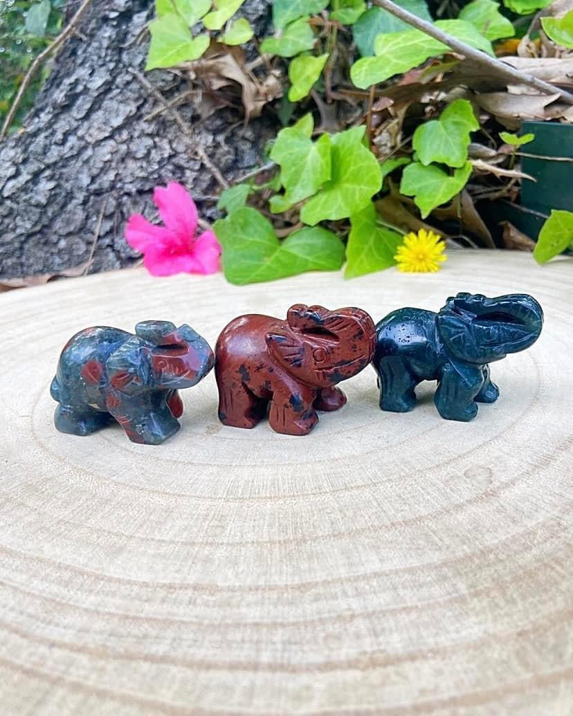 Elephants