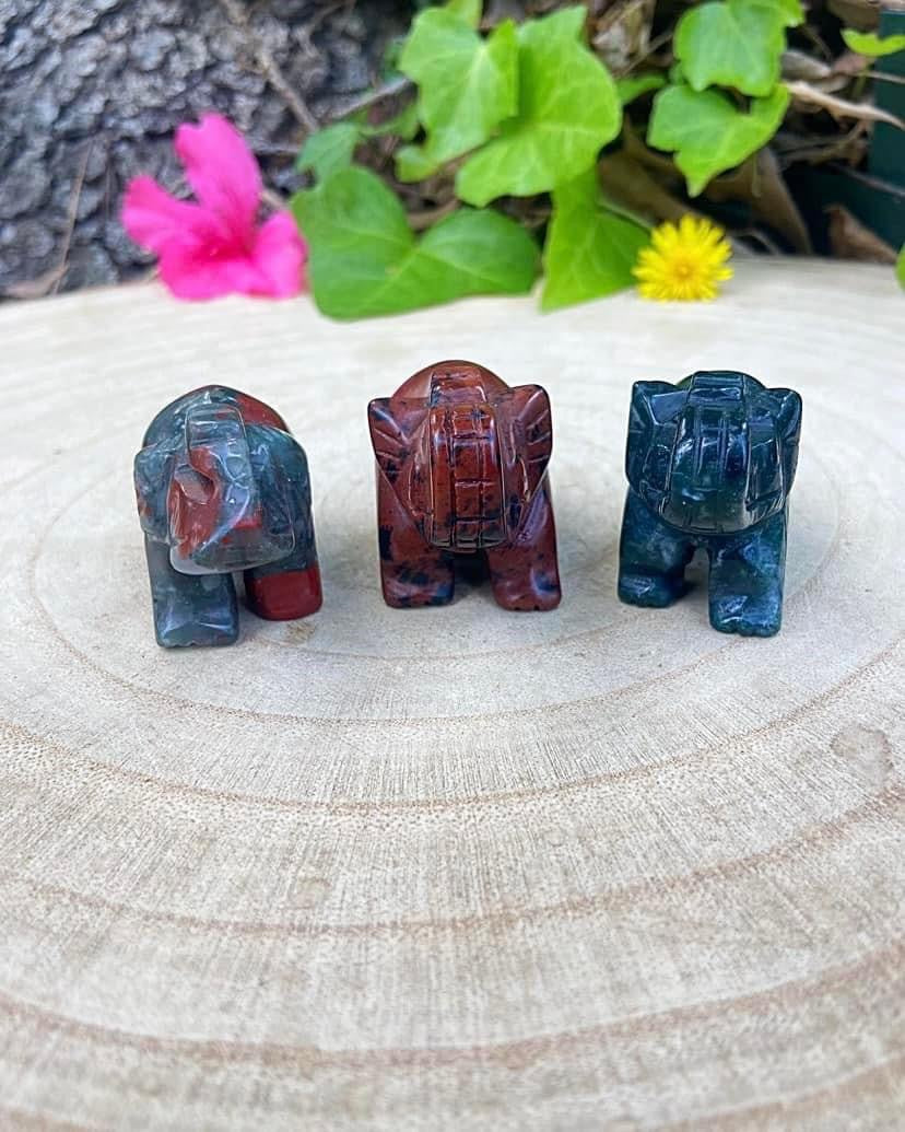 Elephants