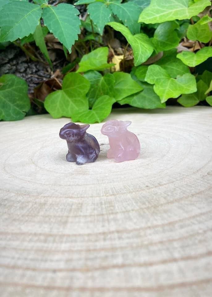 Fluorite Toothless