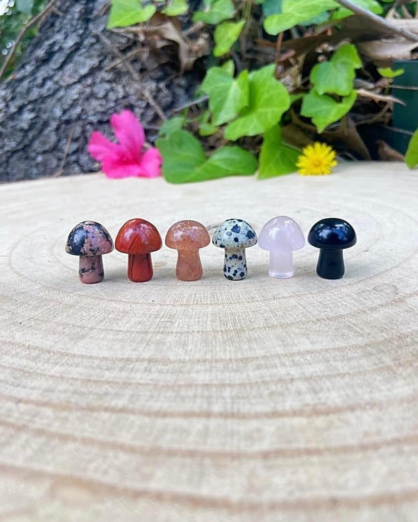 Mini Mushrooms