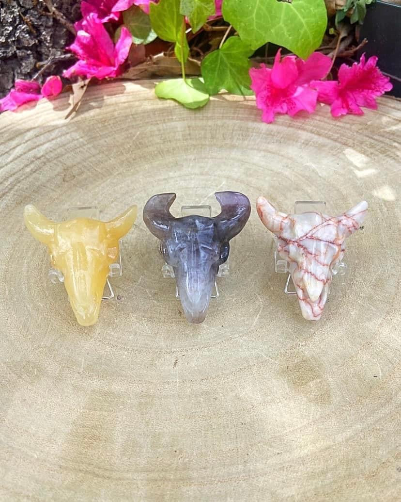 Mixed Skulls