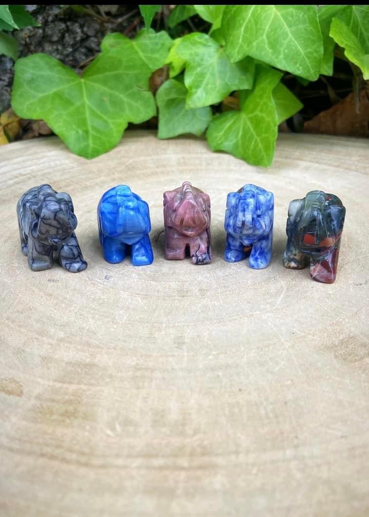 Elephants