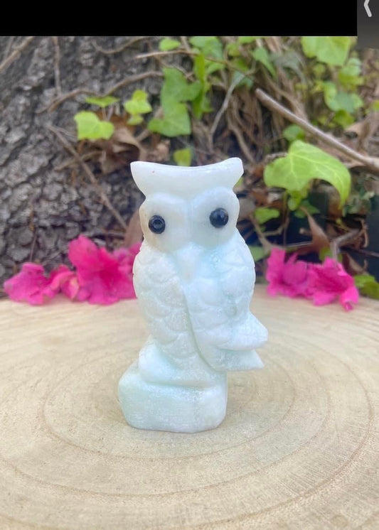 Aragonite Owl