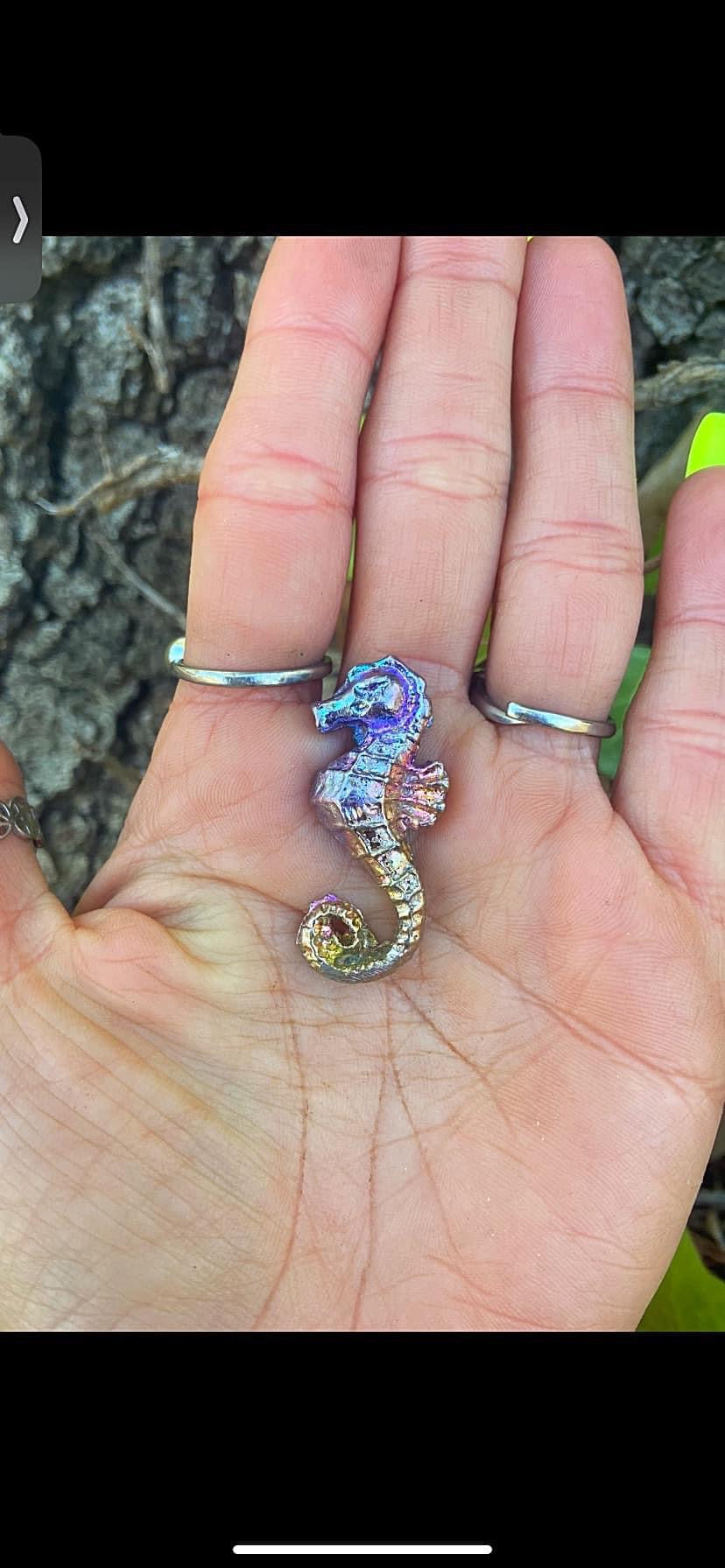 Bismuth Seahorse