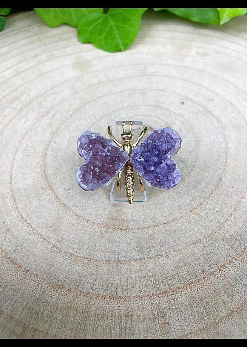 Amethyst Dragonfly