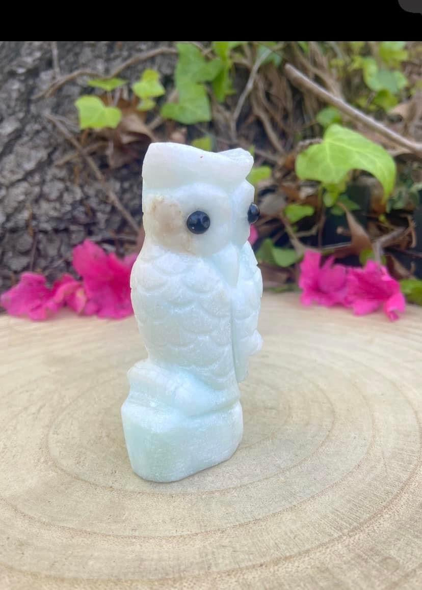 Aragonite Owl