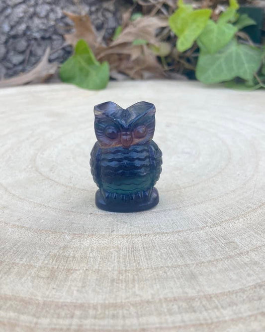 Fluorite Owl