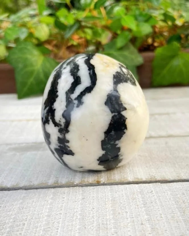 Zebra Jasper Skull