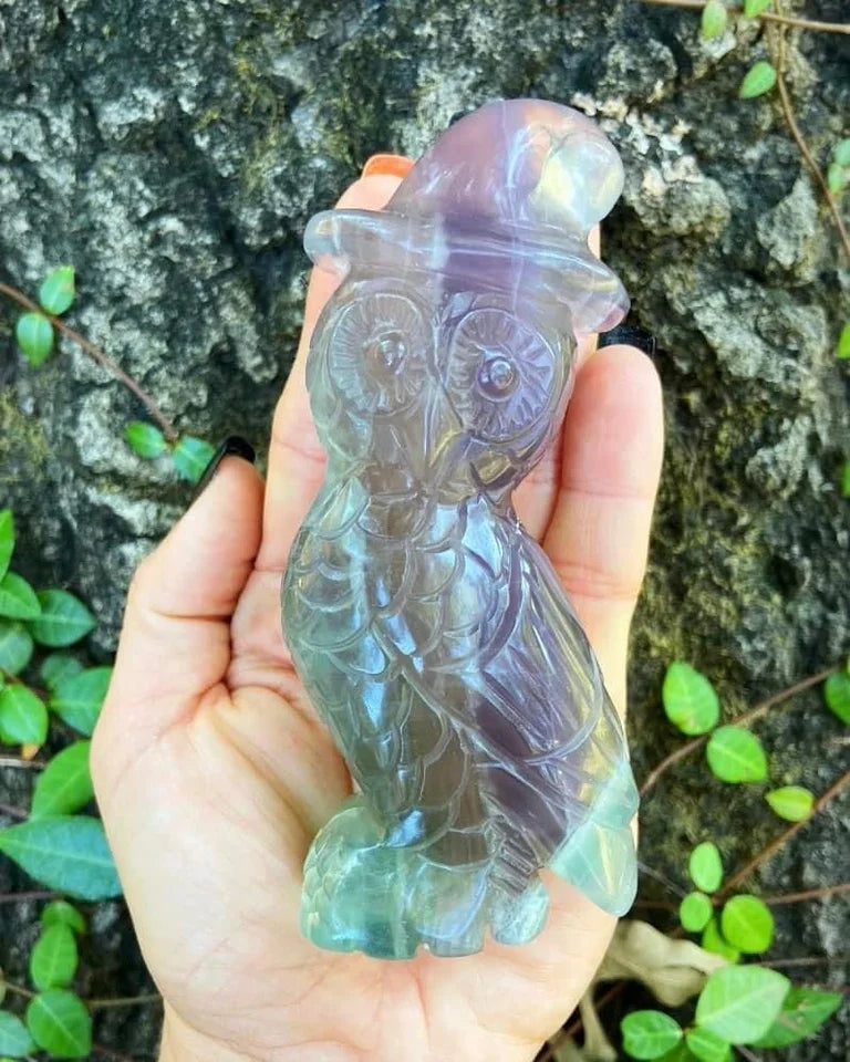 Fluorite Witch Owl