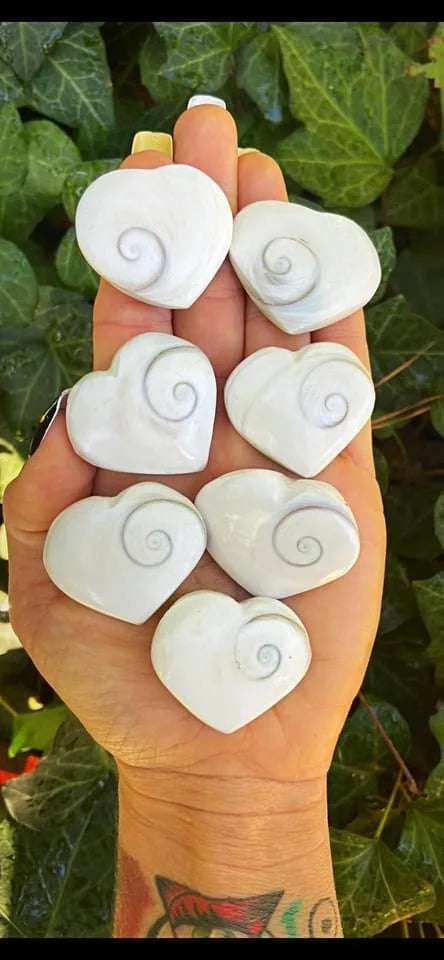 Shiva Eye Shell Hearts