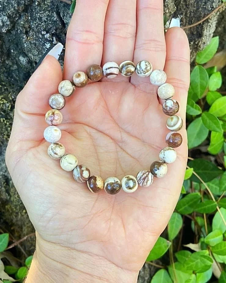 Chocolate Zebra Jasper Bracelets 8mm