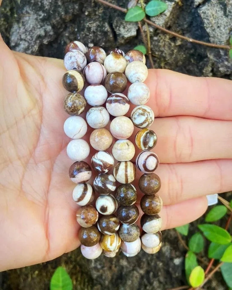 Chocolate Zebra Jasper Bracelets 8mm