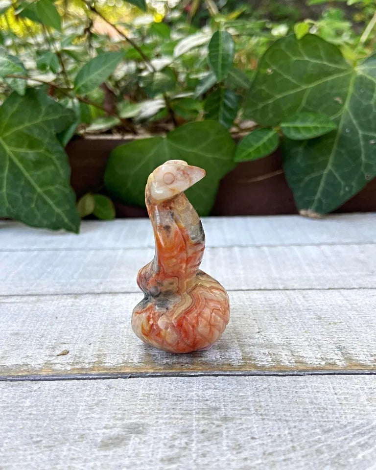 Crazy Lace Agate Snake