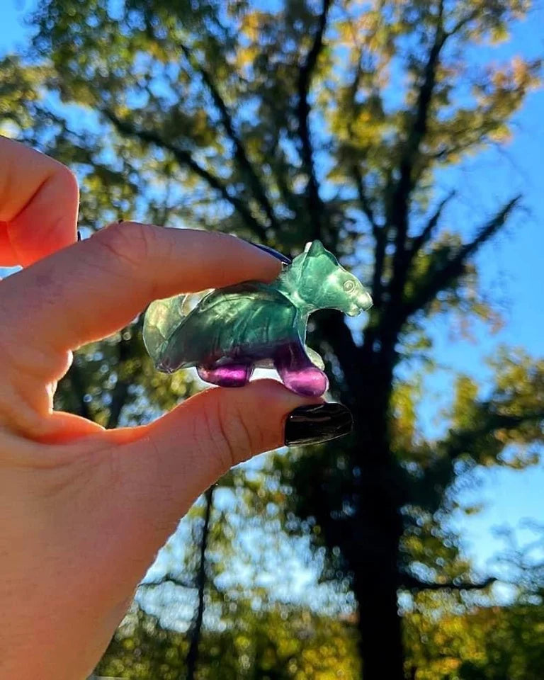 Fluorite Dragon