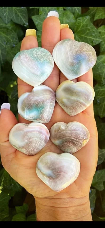 Shiva Eye Shell Hearts