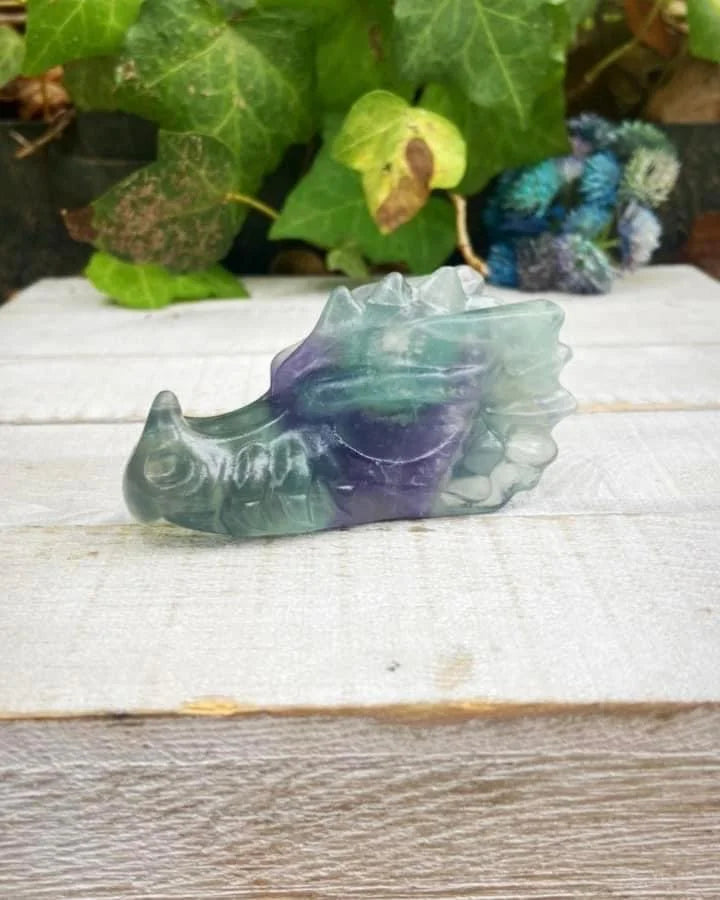 Fluorite Dragon