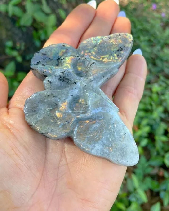 Labradorite Moth Skull