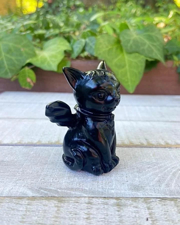 Black Obsidian Vampire Cat