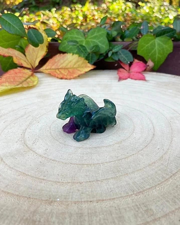 Fluorite Dragon