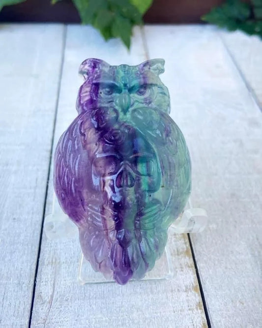 Fluorite Owl Skull