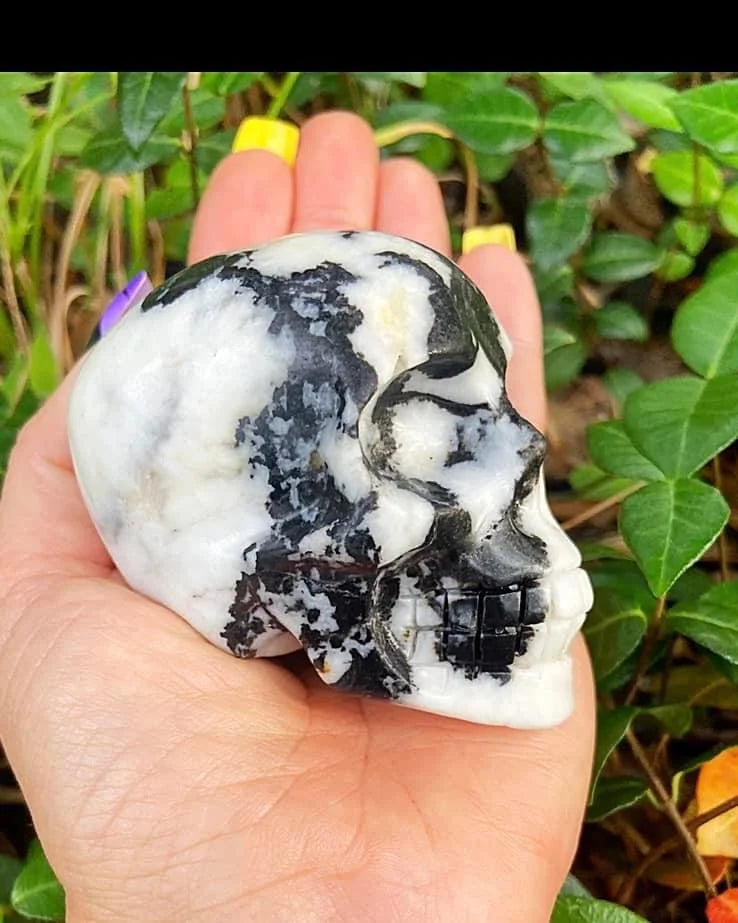 Zebra Jasper Skull