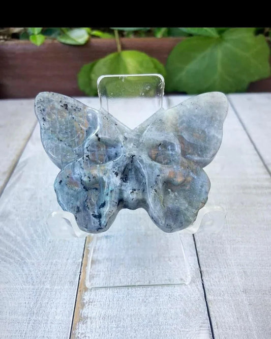 Labradorite Moth Skull