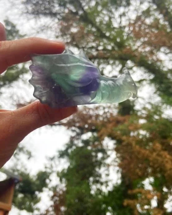 Fluorite Dragon