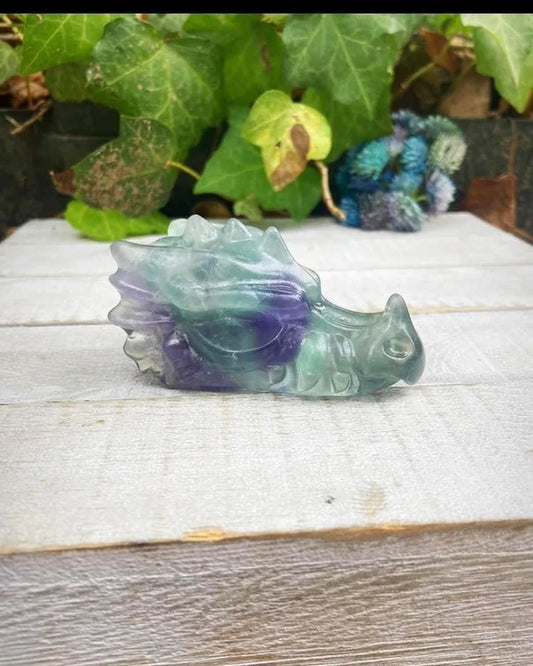 Fluorite Dragon