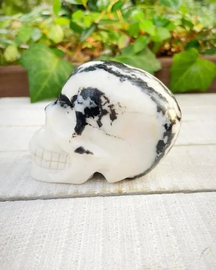 Zebra Jasper Skull