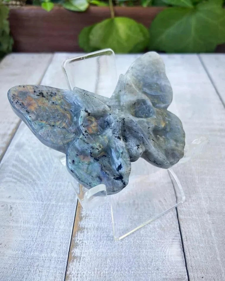 Labradorite Moth Skull